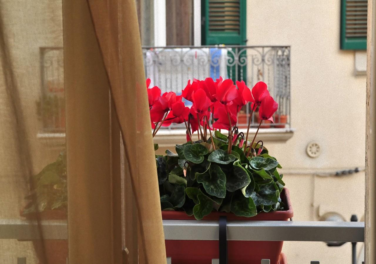 Donna Eleonora Residence ماتيرا المظهر الخارجي الصورة